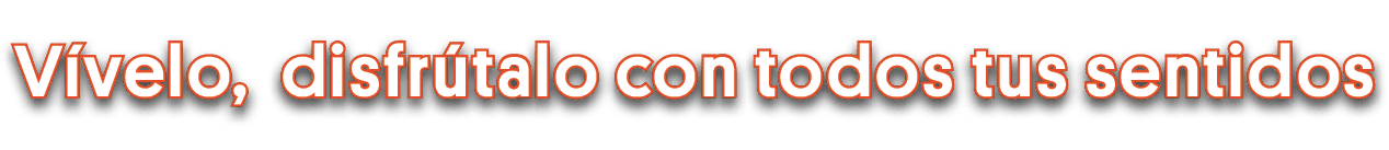 Vívelo, disfrútalo con todos tus sentidos