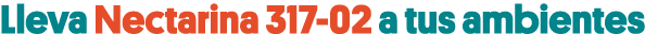 Lleva Nectarina 317-02 a tus ambientes