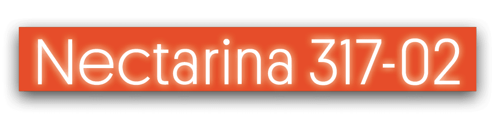 Nectarina 317-0