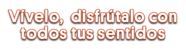 Vívelo, disfrútalo con todos tus sentidos