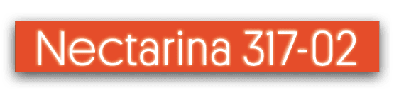 Nectarina 317-0