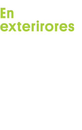 En exterirores  En la pared de un patio con plantas; el verde, al ser un color opuesto, queda increíble con Nectarina   