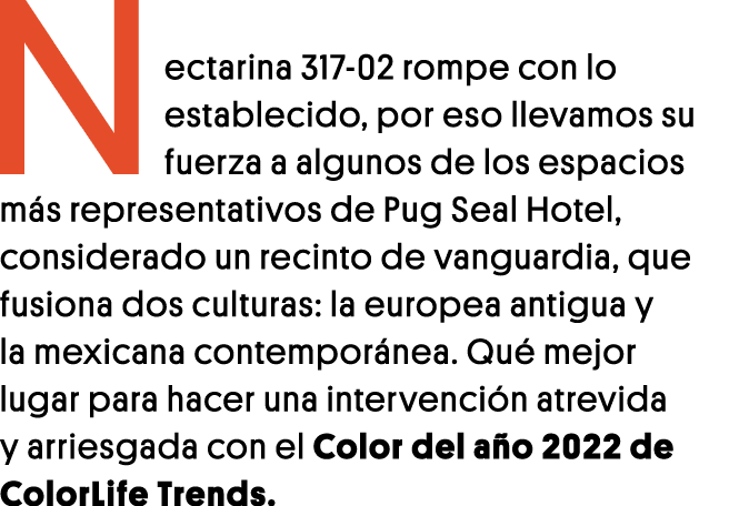 Nectarina 317-02 rompe con lo establecido, por eso llevamos su fuerza a algunos de los espacios más representativos d   