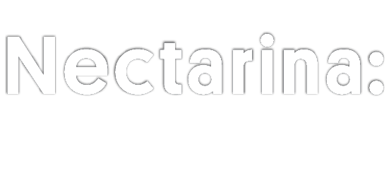 Nectarina: 