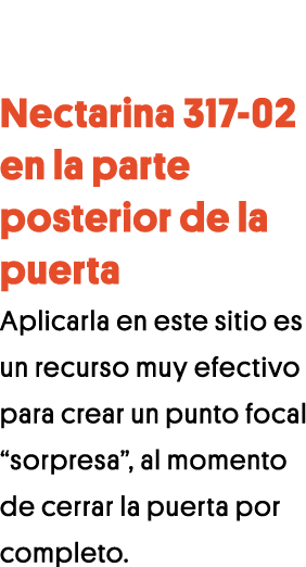 Nectarina 317-02 en la parte posterior de la puerta Aplicarla en este sitio es un recurso muy efectivo para crear un    