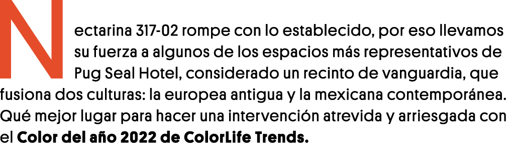 Nectarina 317-02 rompe con lo establecido, por eso llevamos su fuerza a algunos de los espacios más representativos d   