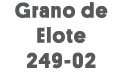 Grano de Elote 249-02