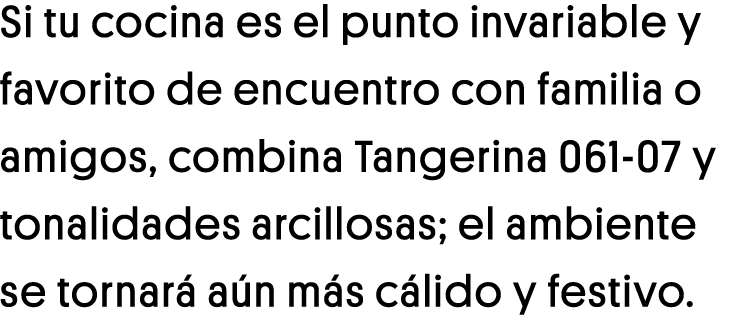 Si tu cocina es el punto invariable y favorito de encuentro con familia o amigos, combina Tangerina 061-07 y tonalida   