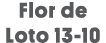 Flor de Loto 13-10